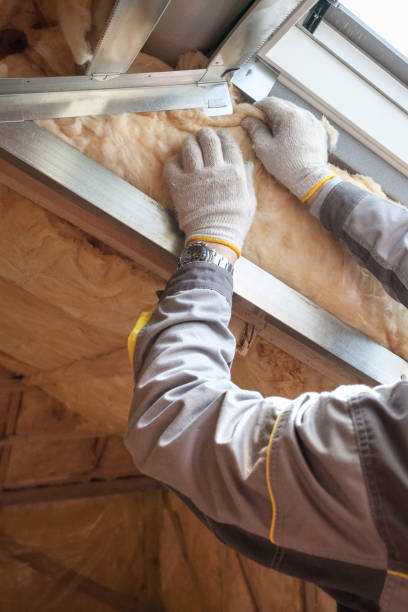 Types of Insulation We Offer in Plant City, FL