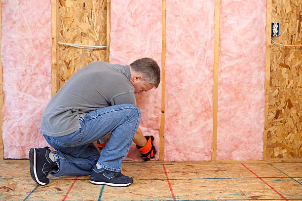 Best Residential Insulation in Plant City, FL